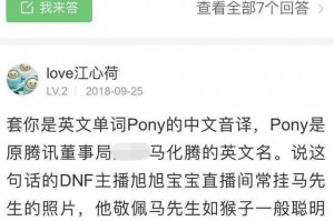 dnf闪九是什么意思_dnf是什么意思